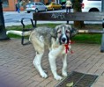 /album/algunos-clientes/coco-2-jpg/
